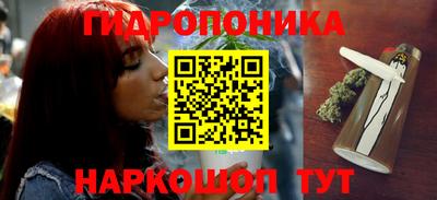 ешки Краснознаменск
