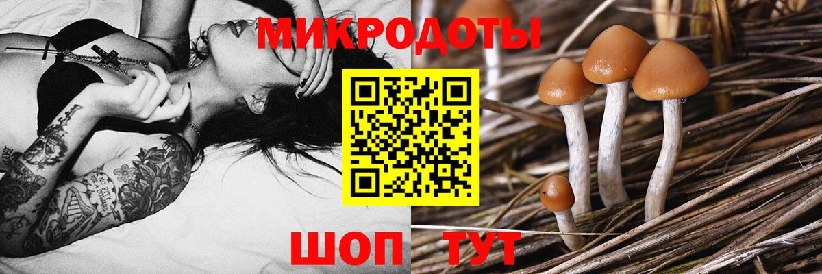 Когалым  Галлюциногенные грибы Magic Shrooms  Вход с VPN  Галлюциногенные грибы MAGIC MUSHROOMS 